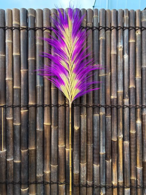 Pampas pluimen twin 220x60 cm Natural Purple